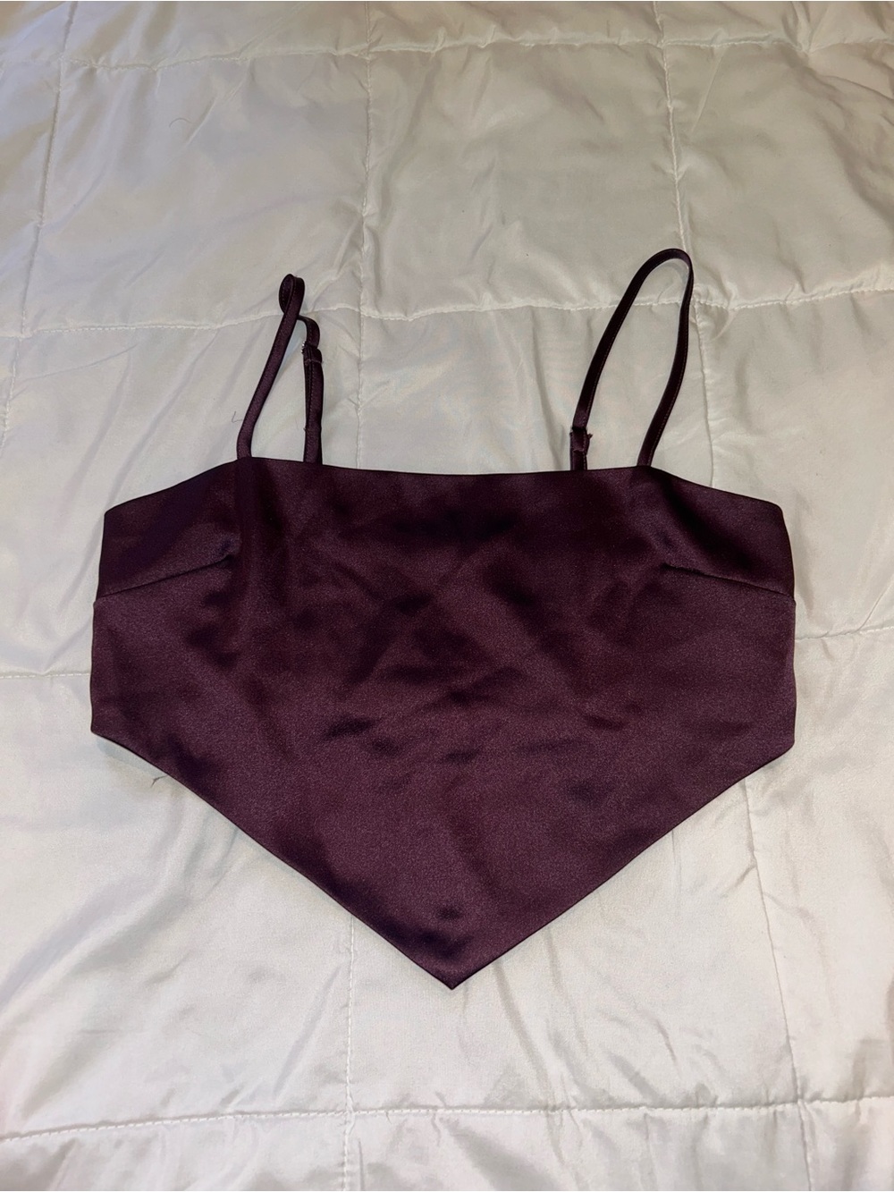 Forever 21 Plum Satin Bandana Cami Top